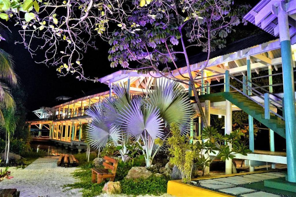 The Dock Resort Over Water Retreat 웨스트 엔드 외부 사진