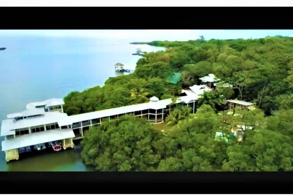 The Dock Resort Over Water Retreat 웨스트 엔드 외부 사진